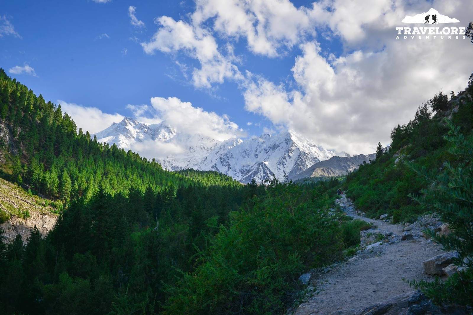 The forest trail to Fairy Meadows with Nanga Parbat behind the clouds