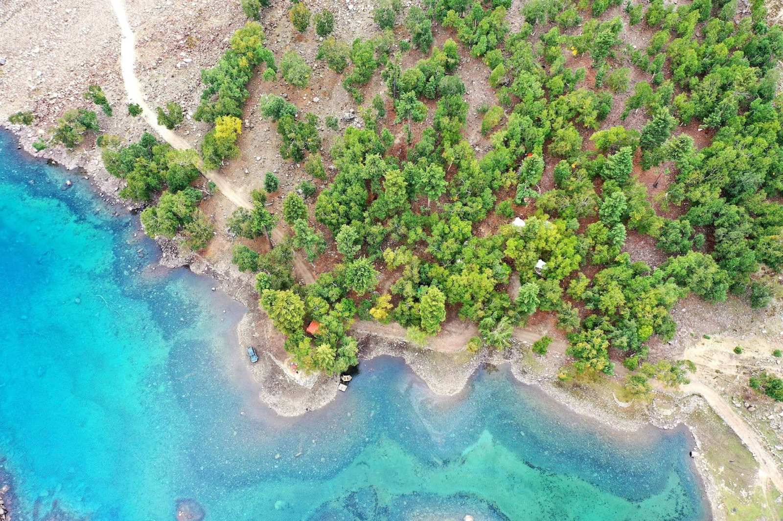 Drone view of pine trees along a turquoise lake in Naltar
