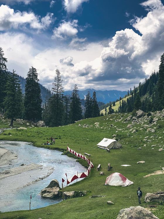 Tents by a turquoise stream in a pine meadow