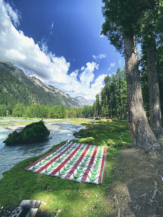 A rug laid by a mountain river under tall pines