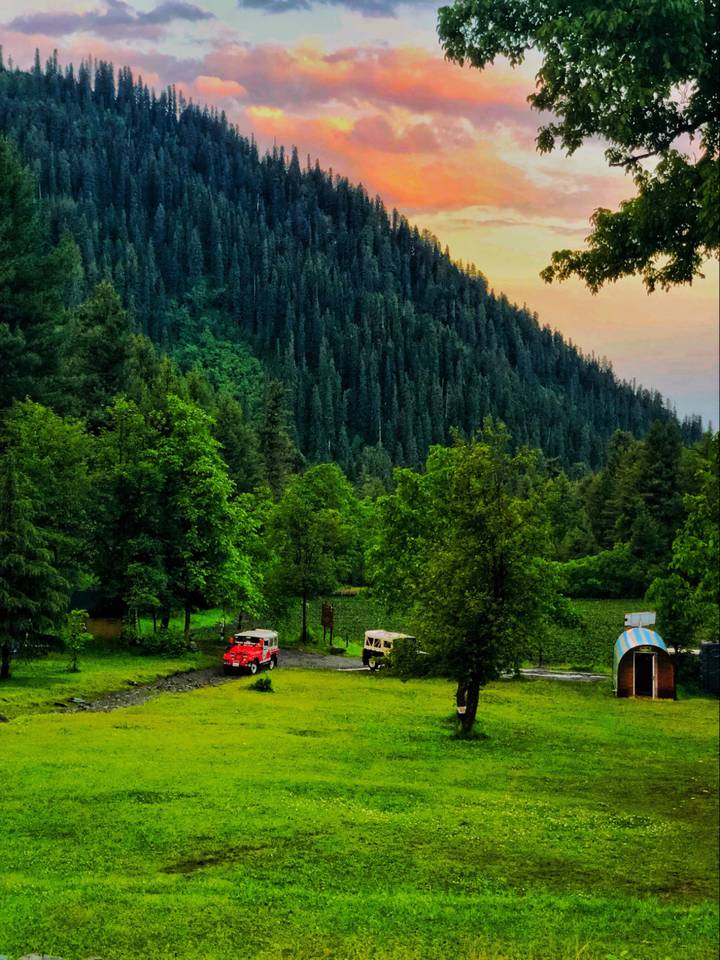 Jeeps parked in a green meadow below a cedar-covered hill at sunset in Sharan
