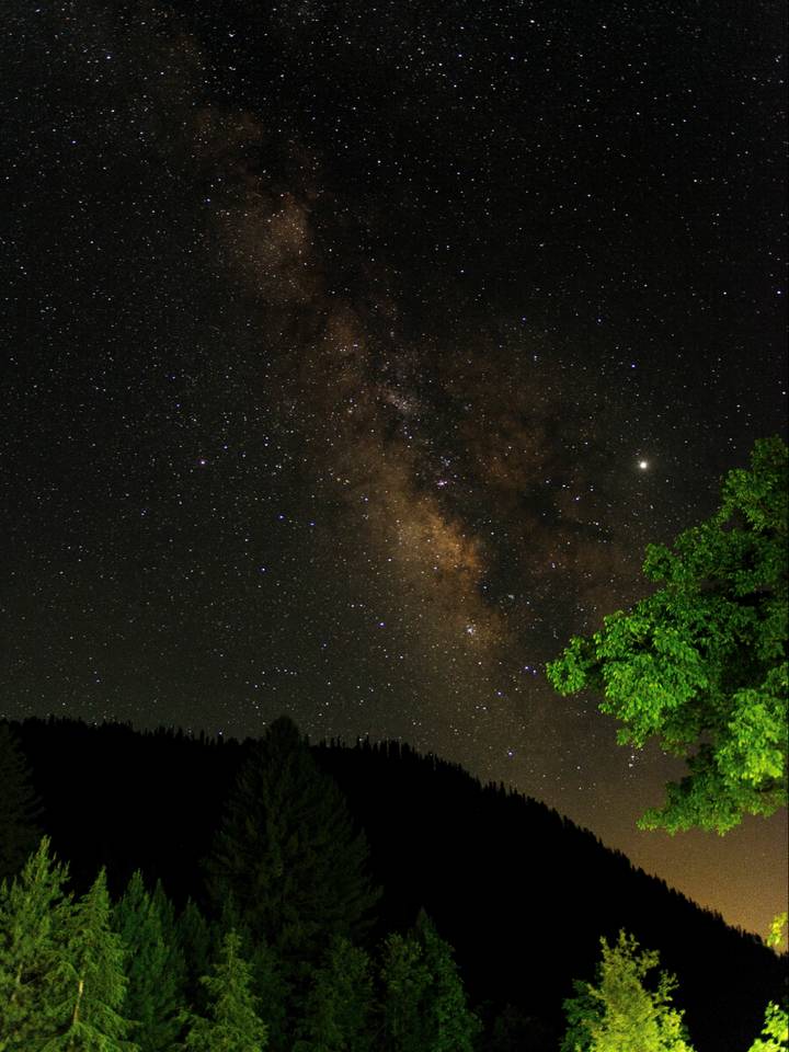 The Milky Way over the forest at Sharan