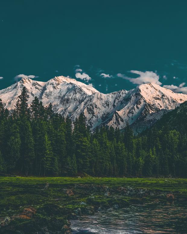 Nanga Parbat glowing pink above pine forest and a stream at Fairy Meadows